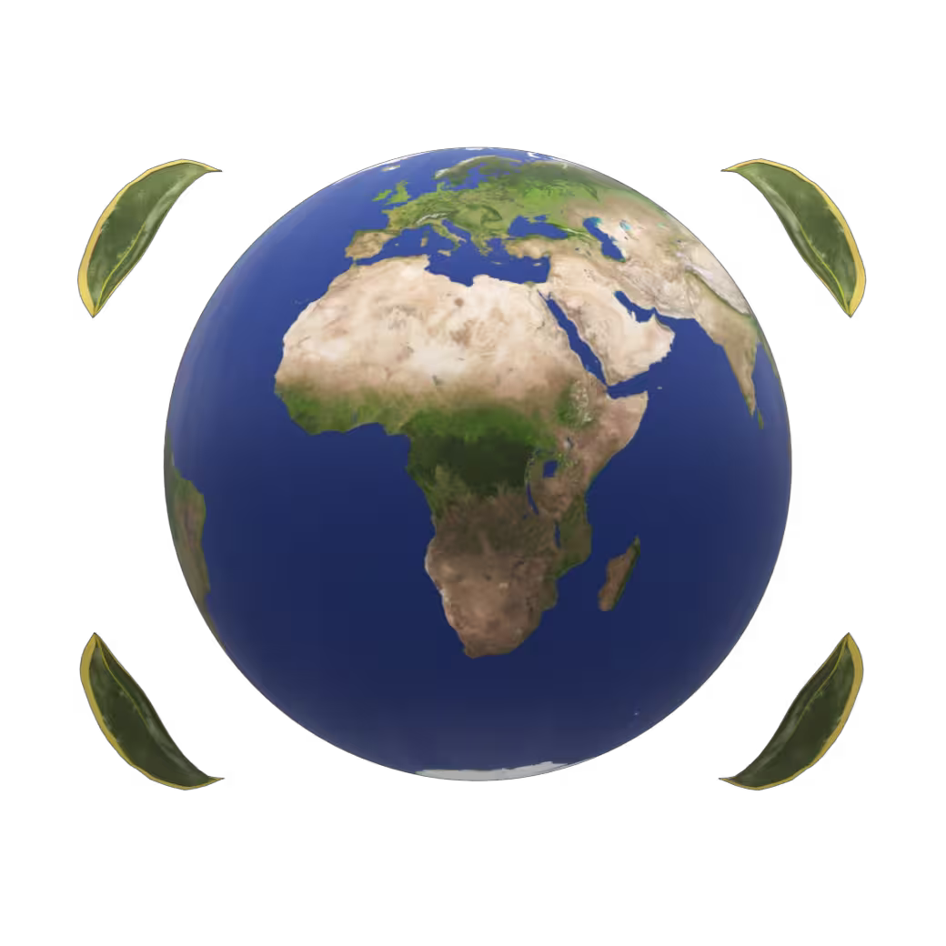 globe icon